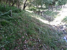 里山整備20260520 (1).JPG