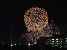 桑名水郷花火大会2026 (2).JPG
